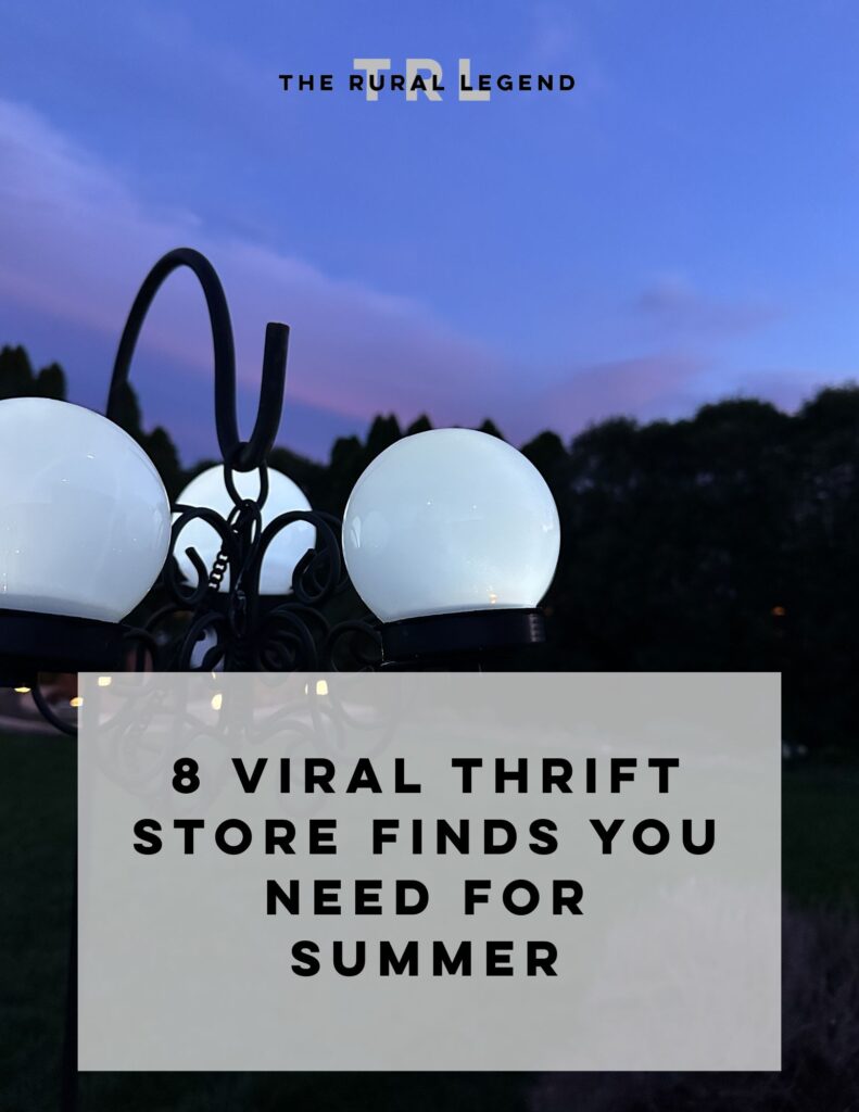 8 viral thrift store finds