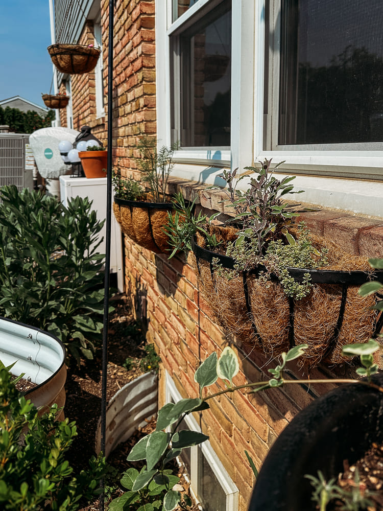 outdoor plant pot