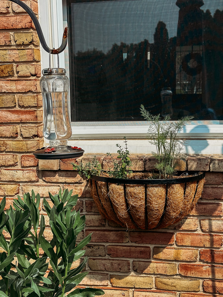 wall mounted planters
