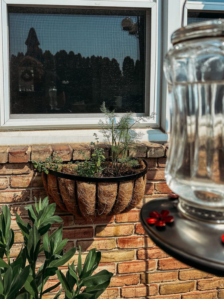 outdoor decor